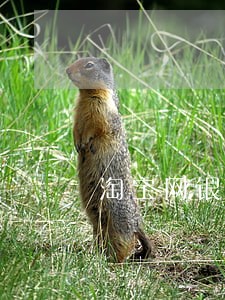 淘宝网银贷款逾期 淘宝网银贷款逾期