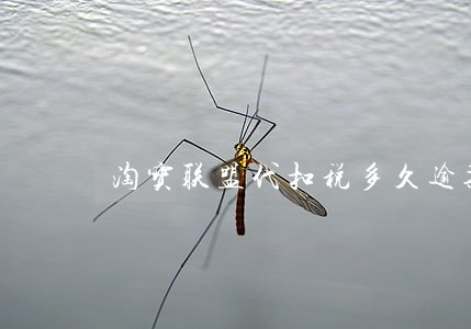 淘宝联盟代扣税多久逾期 淘宝联盟代扣税多久逾期