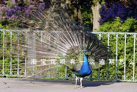 淘宝花呗有一次逾期怎么办 淘宝花呗有一次逾期怎么办