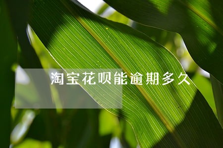 淘宝花呗能逾期多久 淘宝花呗能逾期多久