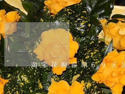 淘宝花呗逾期69天是多少的利息 淘宝花呗逾期69天是多少的利息