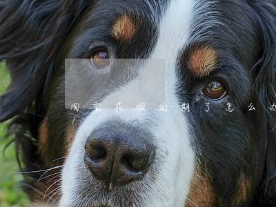 淘宝花呗逾期了怎么办