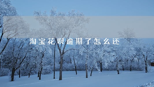 淘宝花呗逾期了怎么还 淘宝花呗逾期了怎么还