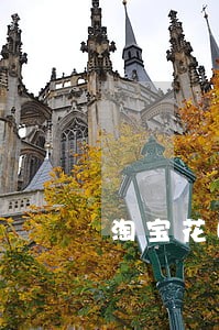 淘宝花呗逾期会不会影响信用 淘宝花呗逾期会不会影响信用