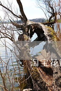 淘宝花呗逾期会扣款吗 淘宝花呗逾期会扣款吗