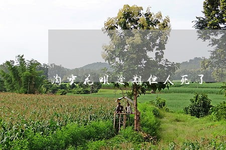 淘宝花呗逾期但人死了 淘宝花呗逾期但人死了