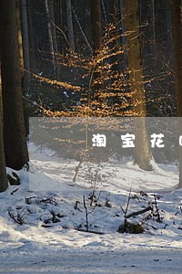 淘宝花呗逾期利息怎么算 淘宝花呗逾期利息怎么算