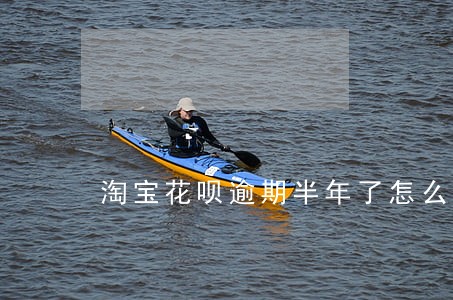 淘宝花呗逾期半年了怎么办 淘宝花呗逾期半年了怎么办