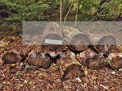 淘宝花呗逾期多久恢复 淘宝花呗逾期多久恢复