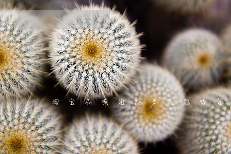 淘宝花呗逾期多久能恢复正常 淘宝花呗逾期多久能恢复正常