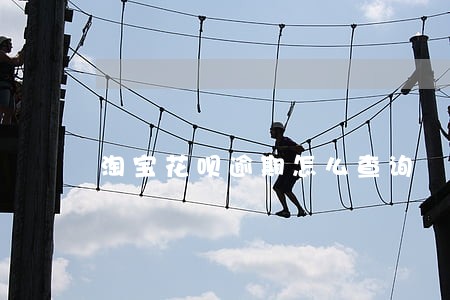 淘宝花呗逾期怎么查询 淘宝花呗逾期怎么查询