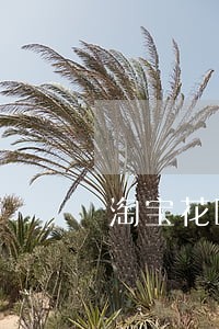 淘宝花呗逾期怎么算 淘宝花呗逾期怎么算