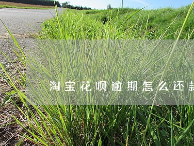 淘宝花呗逾期怎么还款期限 淘宝花呗逾期怎么还款期限