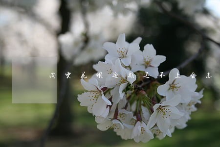 淘宝花呗逾期还不上会怎么样 淘宝花呗逾期还不上会怎么样