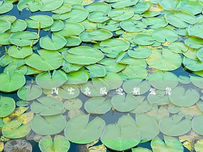 淘宝衣服逾期发货 淘宝衣服逾期发货