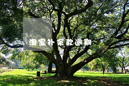 淘宝补余款逾期 淘宝补余款逾期