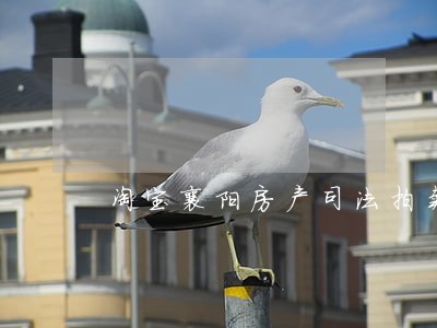 淘宝襄阳房产司法拍卖 淘宝襄阳房产司法拍卖