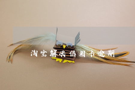 淘宝解决信用卡逾期