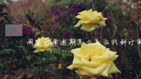 淘宝订单逾期怎么怎么找到订单 淘宝订单逾期怎么怎么找到订单