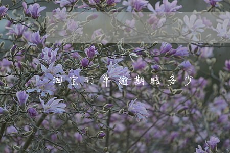 淘宝订单逾期赔多少 淘宝订单逾期赔多少