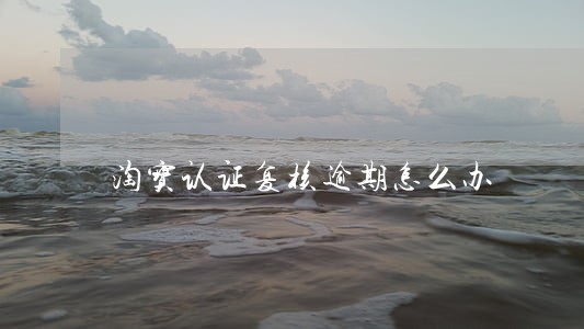 淘宝认证复核逾期怎么办 淘宝认证复核逾期怎么办
