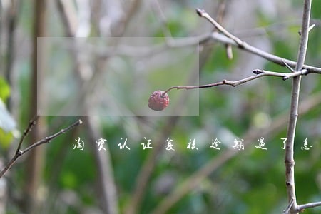 淘宝认证复核逾期过了怎么办 淘宝认证复核逾期过了怎么办
