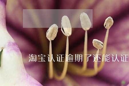 淘宝认证逾期了还能认证不