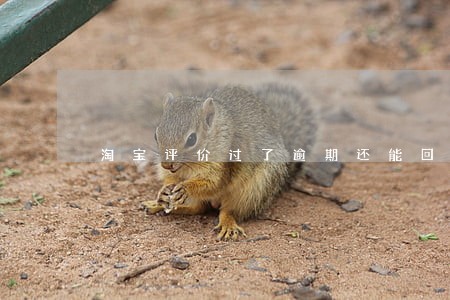 淘宝评价过了逾期还能回复吗 淘宝评价过了逾期还能回复吗