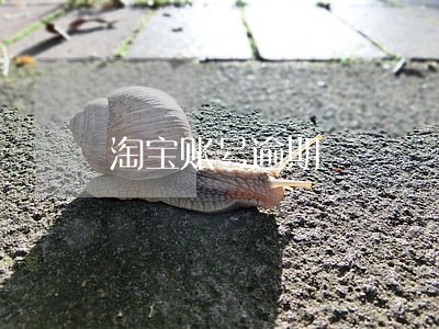 淘宝账号逾期