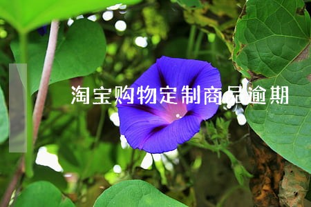 淘宝购物定制商品逾期 淘宝购物定制商品逾期