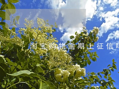 淘宝购物逾期上征信吗