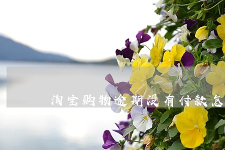 淘宝购物逾期没有付款怎么办 淘宝购物逾期没有付款怎么办