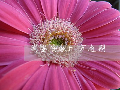 淘宝贷款5万逾期
