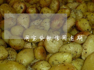 淘宝贷款信用逾期