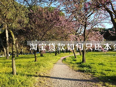 淘宝贷款如何只还本金 淘宝贷款如何只还本金