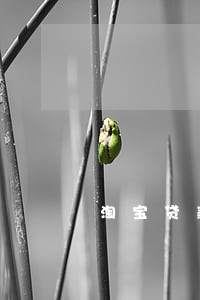 淘宝贷款最久可以逾期多久 淘宝贷款最久可以逾期多久