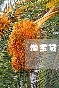 淘宝贷款有逾期 淘宝贷款有逾期