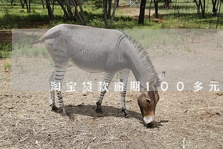 淘宝贷款逾期100多元钱 淘宝贷款逾期100多元钱