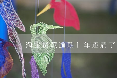 淘宝贷款逾期1年还清了 淘宝贷款逾期1年还清了