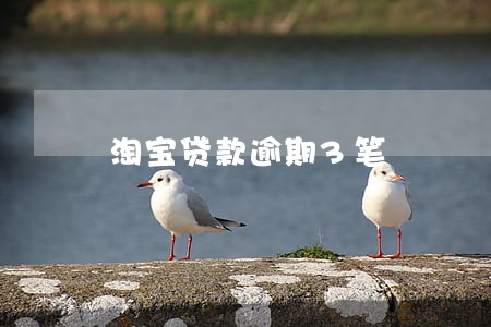 淘宝贷款逾期3笔 淘宝贷款逾期3笔