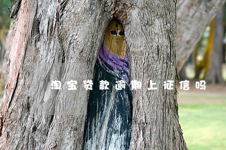 淘宝贷款逾期上征信吗 淘宝贷款逾期上征信吗