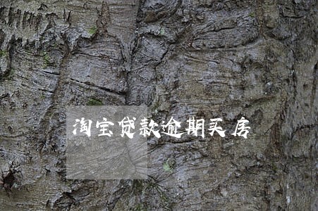 淘宝贷款逾期买房 淘宝贷款逾期买房
