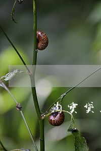 淘宝贷款逾期了还能贷款吗 淘宝贷款逾期了还能贷款吗