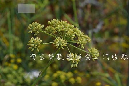 淘宝贷款逾期会上门收账吗 淘宝贷款逾期会上门收账吗