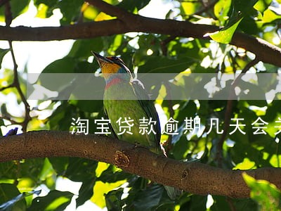 淘宝贷款逾期几天会关店 淘宝贷款逾期几天会关店