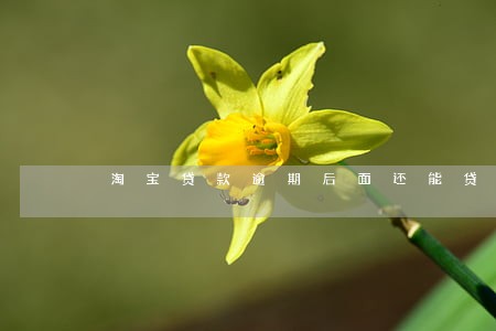 淘宝贷款逾期后面还能贷吗 淘宝贷款逾期后面还能贷吗