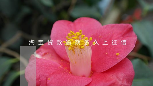 淘宝贷款逾期多久上征信 淘宝贷款逾期多久上征信