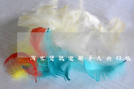 淘宝贷款逾期多久会打电话 淘宝贷款逾期多久会打电话
