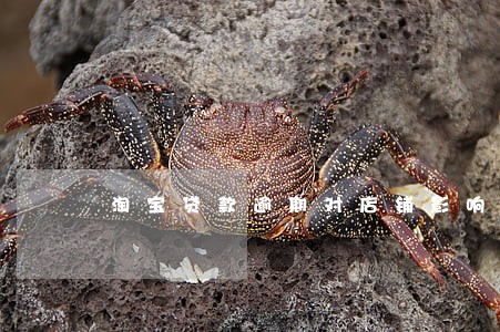 淘宝贷款逾期对店铺影响 淘宝贷款逾期对店铺影响