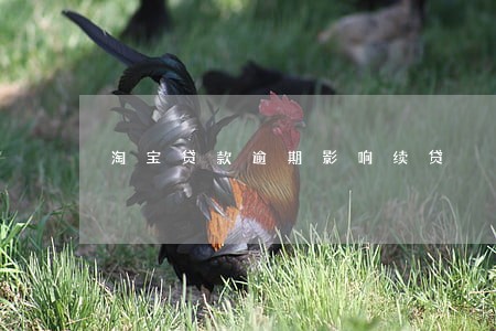 淘宝贷款逾期影响续贷 淘宝贷款逾期影响续贷